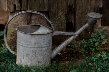 old watering can in garden