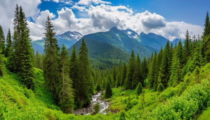 Fototapeta premium Panoramic view of a mountain evening summer landscape covered with dense forest, the forest consists mainly of tall coniferous trees such as spruce and fir, a small stream flows between the mountains