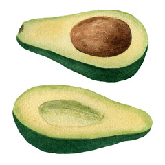 Watercolor avocado set isolated on white background. Realistic food watercolor illustration for cards, postcards, logos, menu and food package design
