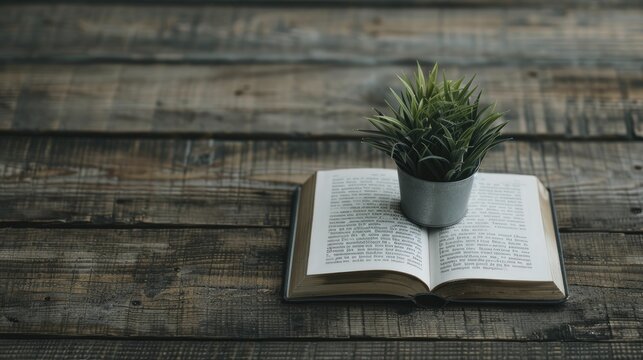 Discover a literature-inspired aesthetic that blends literary elements, book motifs, and quotes to craft captivating and insightful visuals.