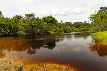 Rio Suarez river with dark brown water in the Cahuita National Park in Costa Rica