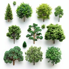 Fototapeta premium Futuristic AI Monitoring Tree Growth for Reforestation Diversity on White Background - Technology in Ecology
