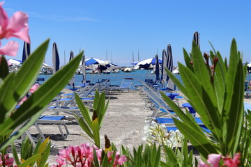 Beach chairs and umbrellas on the beach. Blurred flowers and green leaves of Oleander in the...