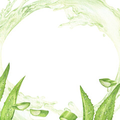 Aloe vera watercolor illustration, leaves and slice frame Botanical painting on isolated white background. Sliced leaves and pieces with green splash