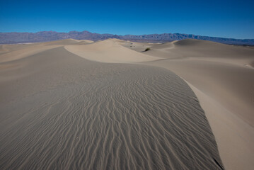 Wind Carves S Curves into the Sand Dunes