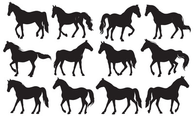 Horse silhouettes, Horse silhouettes set, large pack of vector silhouette design