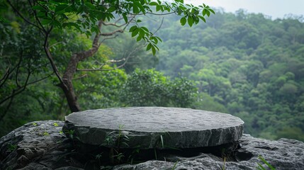Stone platform cliffside nature background. Stunning nature background featuring a stone platform overlooking a lush green forest. Perfect for product displays, website banners, or social media.