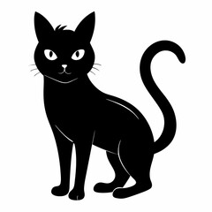  halloween pumpkin head, black cat ,cat cartoon,halloween castle with bats,jack o lantern,