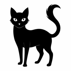  halloween pumpkin head, black cat ,cat cartoon,halloween castle with bats,jack o lantern,