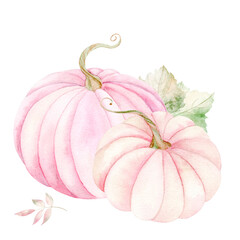 Pink pumpkins and fall leaves in fall colors. Isolated watercolor illustration on white background. Suitable for textiles, scrapbooking, wrapping paper, cards and invitations, holiday decorations.