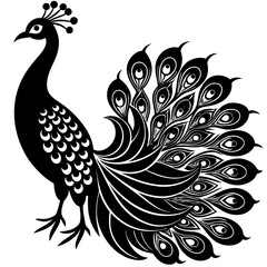 Peacock  silhouette vector  illustration 