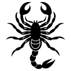 Scorpion  silhouette  vector
