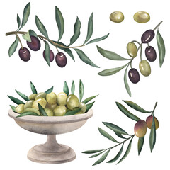 Olives, olive, branch, green, metal vase, olive oil, food, cooking. The illustration is painted in watercolor on a white background. For packaging design, textiles, fabrics, postcards, invitations.