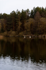 dreary weather in spring at dusk on a lake in the forest