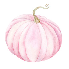 Pink pumpkin in panache colors. Isolated watercolor illustration on white background. Suitable for textiles, scrapbooking, wrapping paper, cards and invitations, holiday decorations.