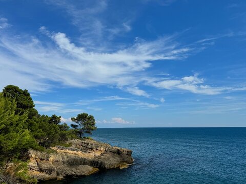 Sea and coastal rocks overgrown pine trees at summer