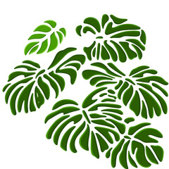 A flat design illustration of a of fresh green monstera leaves on a  background. The leaves are shown