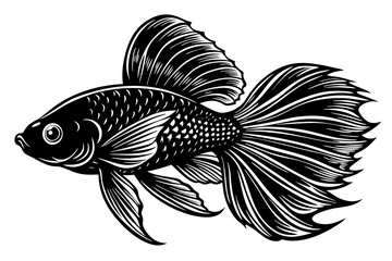 marine fish  silhouette vector illustration 