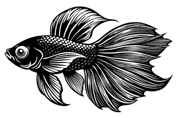 marine fish  silhouette vector illustration 