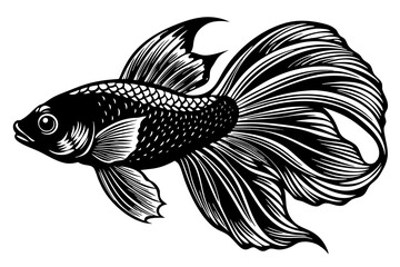 marine fish  silhouette vector illustration 