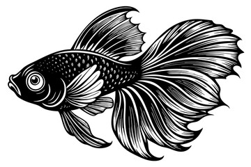 marine fish  silhouette vector illustration 
