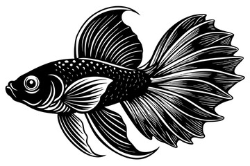 marine fish  silhouette vector illustration 