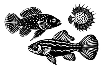 marine fish  silhouette vector illustration 