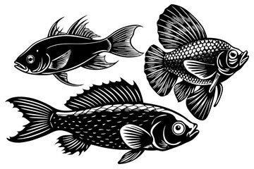 marine fish  silhouette vector illustration 