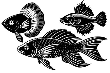 marine fish  silhouette vector illustration 