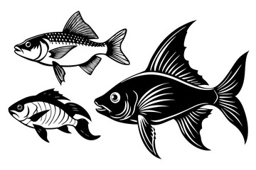marine fish  silhouette vector illustration 