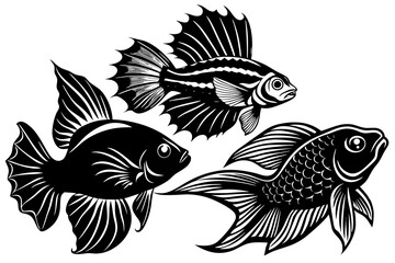 marine fish  silhouette vector illustration 