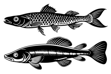 marine fish silhouette vector illustration