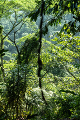 Laguna de Hule, Costa Rica
