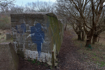 remains of an anti tank wall in panbos holland