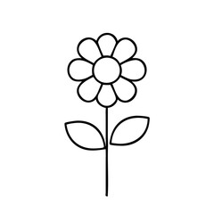 flower, bloom, blossom, petal, floral, nature, garden, botanical, spring, rose, daisy, lily, tulip, sunflower, orchid, flora, beauty, plant, decoration, fresh, vibrant, greenery, bouquet, wildflower