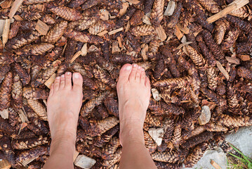 Fototapety na wymiar - Fototapeta24.pl