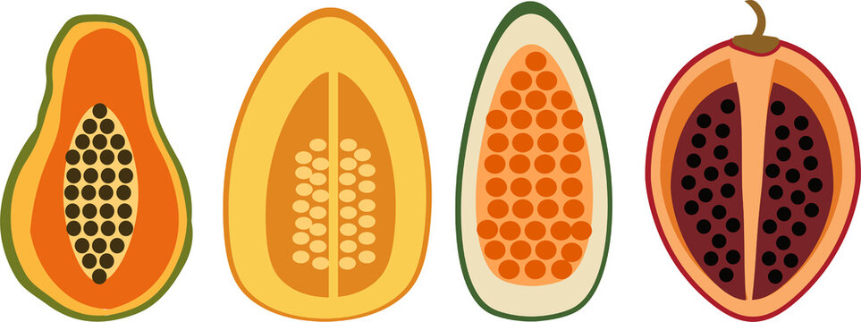Fruit wector set illustration Tamarillo Pepino melon Papaya