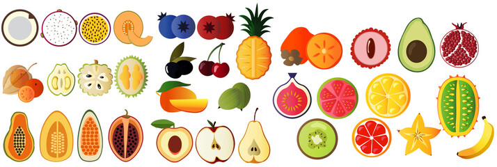 set of colorful fruits illustration 