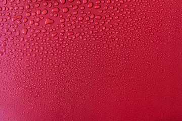 water drops on red background