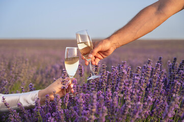 Two People Toasting With Wine in a Lavender Field