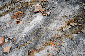 Close Up of Cracked Grey Clay Soil With Scattered Stones and Rocks