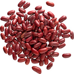 LAYER-LAB_1012208975_LC