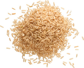 LAYER-LAB_1012209135_LC