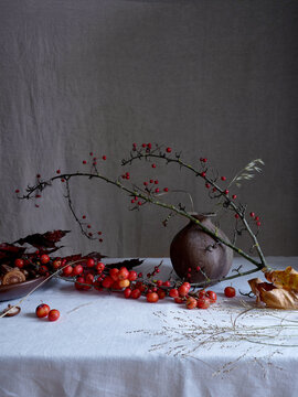 Artistic Autumn Still Life with Shiitake Mushrooms and Crab Apples