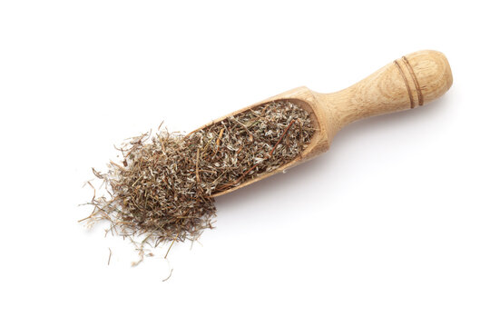Top view of a wooden scoop filled with dry Organic Pitpapra or Varatika (Fumaria Indica) herb. Isolated on a white background.