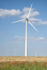 éolienne dans un champs de blé en été