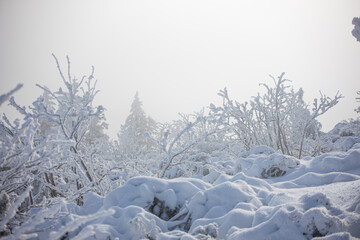 Beautiful winter in the mountains