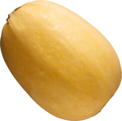 LAYER-LAB_3011208201_LC