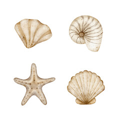 Watercolor set of shells, starfish, scallop, spiral, mollusk. Illustration isolated for design of cards, posters, packaging, labels, invitations, congratulations