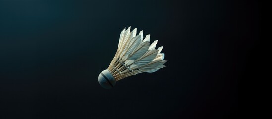 Badminton shuttlecock on a dark background. 